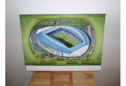 Amex Stadium Fine Art Original Oil Painting - Brighton & Hove Albion FC